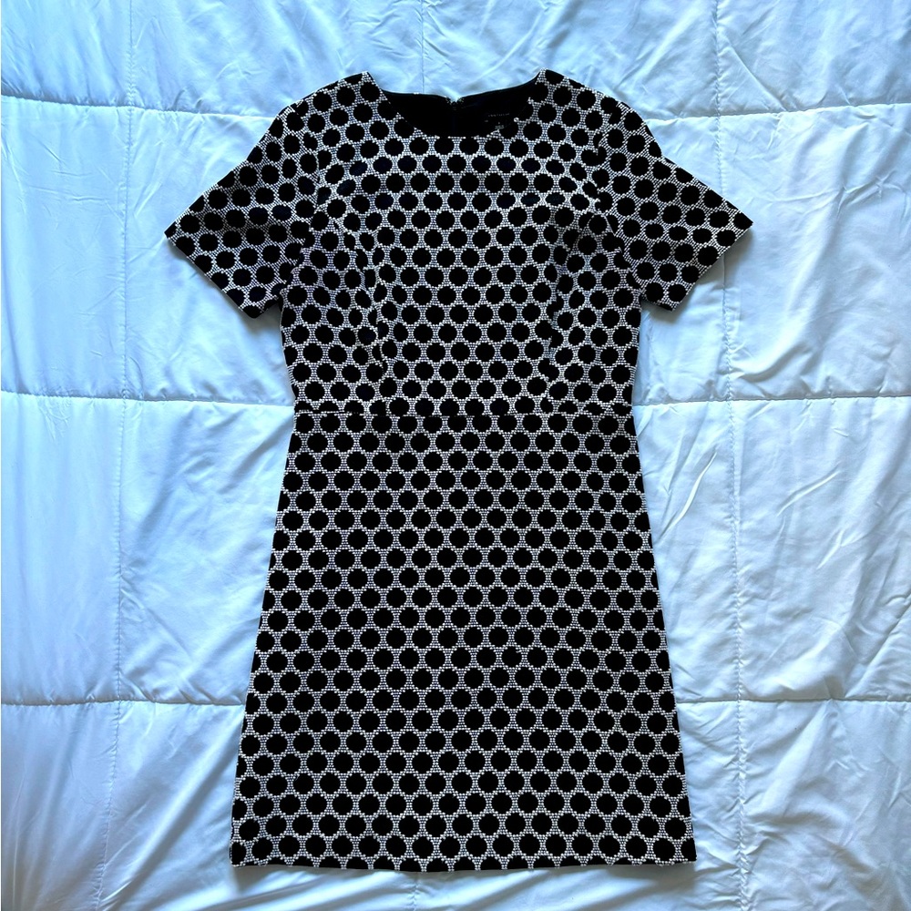 Tweed Short Sleeve Dress
